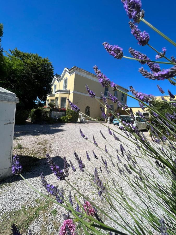 Large Three Bed Two Bathroom Flat In Central Torquay Luaran gambar